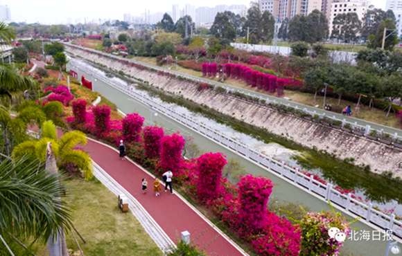 640.webp (12)_副本.jpg